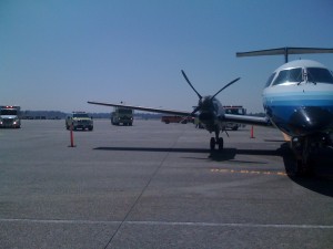 Airplane fire and berry picking 006