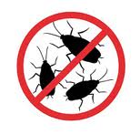 Just Show Up –  VIDEO BLOG  “The Exterminator”