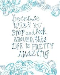Life is amazing