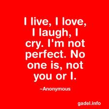 Nooneperfect