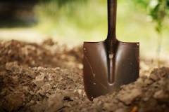 Just Show Up – Digging Deep ( Day 118)