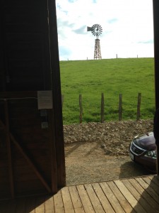 Another view from barn, first one I saw getting out of the car.