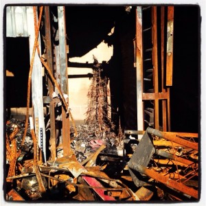 We knew it was ours because of the tree.