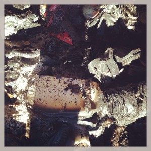 What's left of 3 cases of EXPOSED.