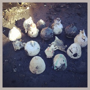 We did manage to find the Llardro's and a few Lennox ornaments given to the boys by their 'Honey'.  However the black soot just won't come off.