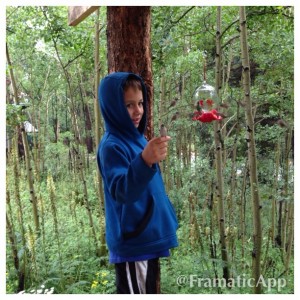 Cade seemed to be the 'bird whisperer'...I'd never seen a hummingbird remain that still for so long.
