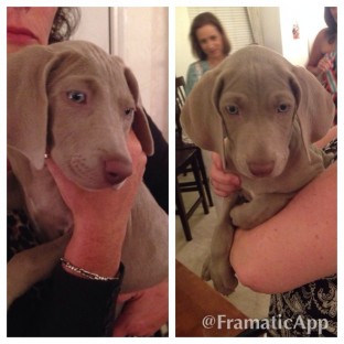 Seriously...need I say more?