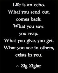 zig ziglar