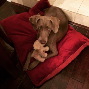 Millie (my baby) ;)