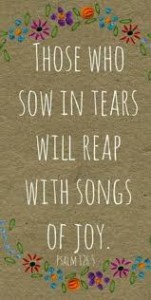 Sow in Tears