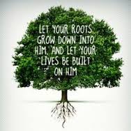 rooted in Christ