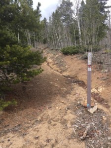 This is a view looking up the trail that the abductor took the car and then bottomed it out... making them get out and hike up the rest of the way (Leslie with heeled boots and none of them were dressed for the cold weather)